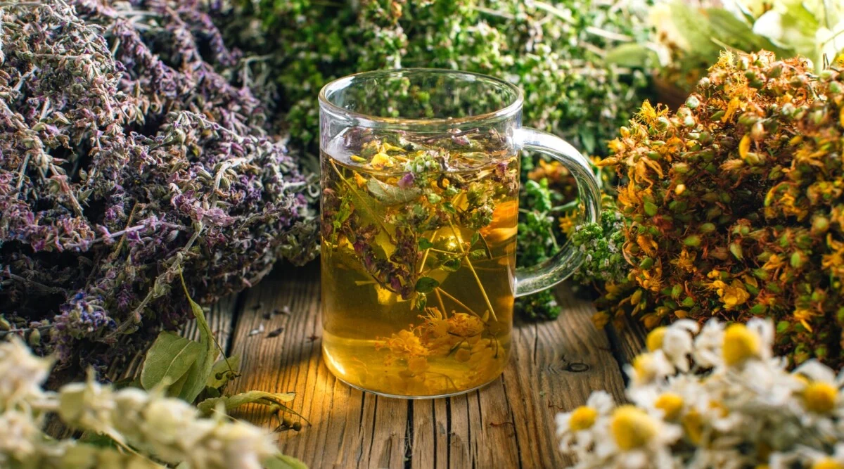 Editorial arrangement of dried herbs and brewing tools